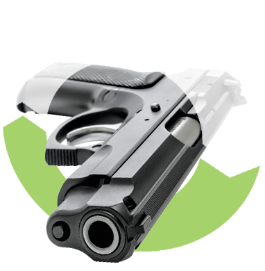 gun background check